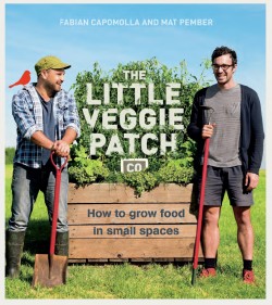 little veggie patch co on small business big marketing
