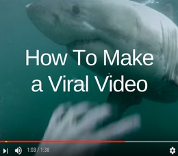 how to make a viral video