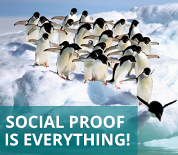 social proof in marketing