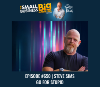 Steve Sims Go For Stupid Interview